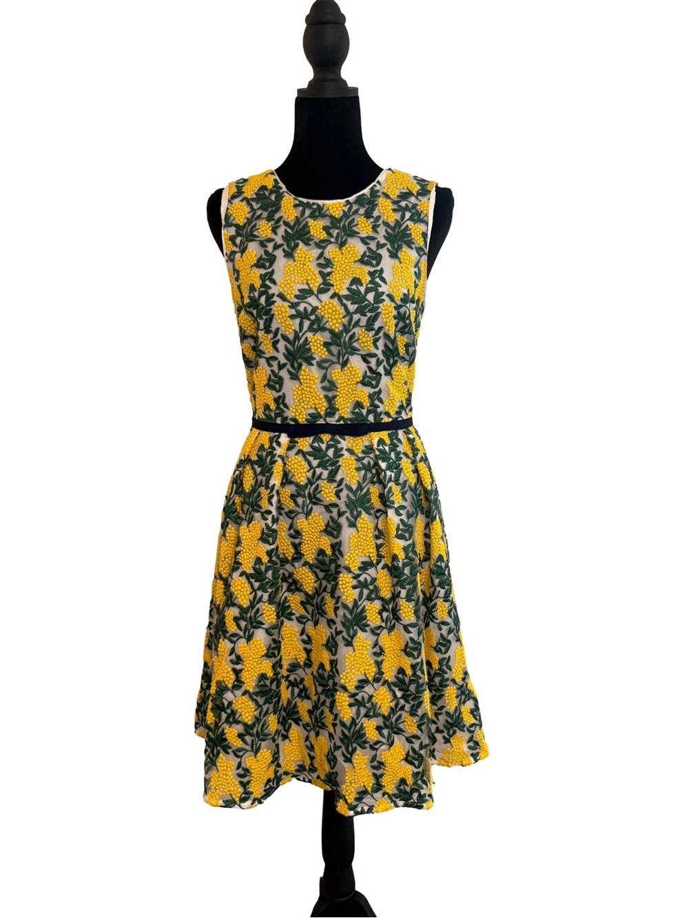 Draper James Lemon Print Embroidered Fit & Flare Dress – Size 6